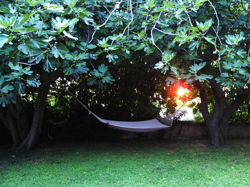 Agriturismo Locanda Pantanello Pitigliano Ngoại thất bức ảnh